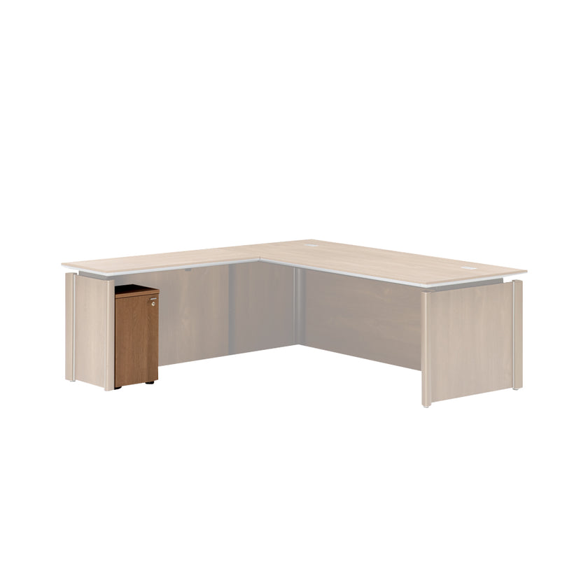Side Desk Door Cabinet