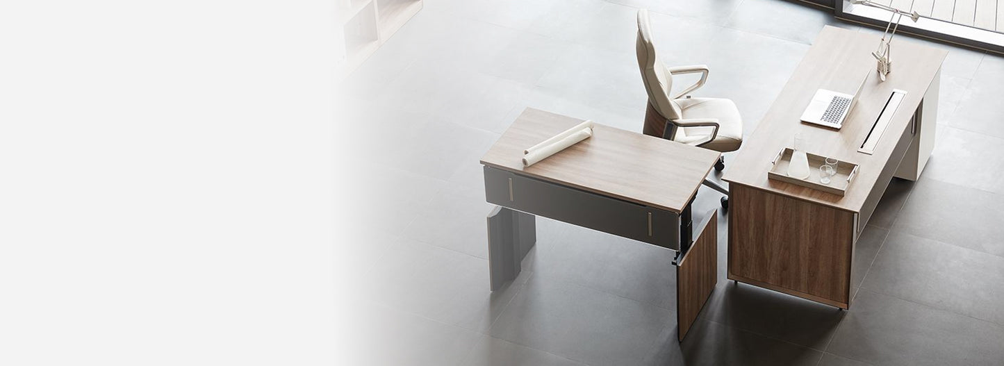 MOTION DESK-EX